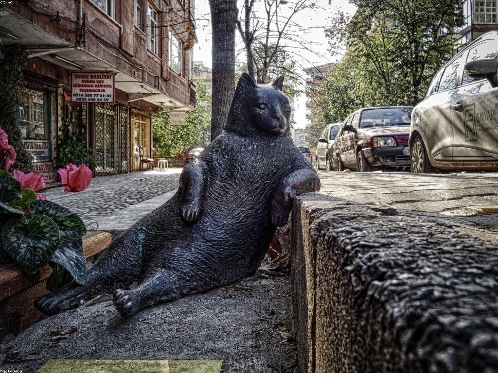 ដីកំណើត និងសក្ដានុពលរបស់ស្លុតហ្វីស